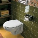 1100910895_unitaz-podvesnoj-kolo